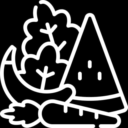 FRUITS & VEGETABLE Icon